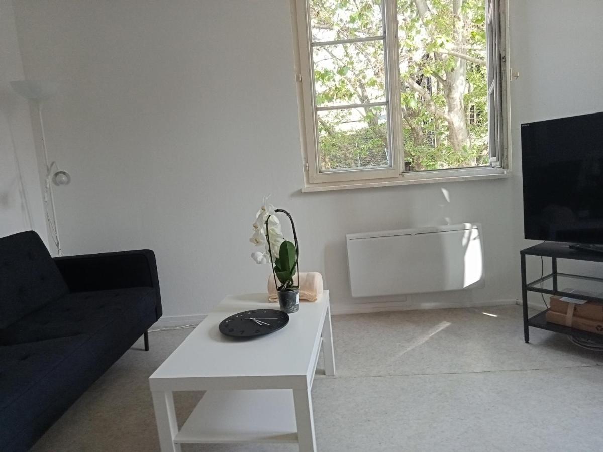 Ferienwohnung Au Coeur De La Petite France Straßburg Exterior foto
