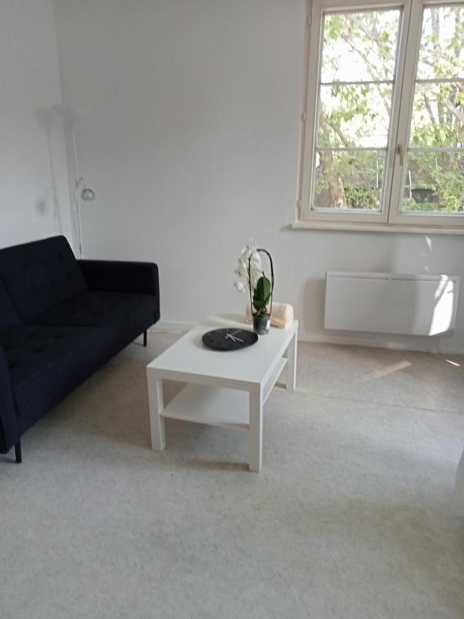 Ferienwohnung Au Coeur De La Petite France Straßburg Exterior foto